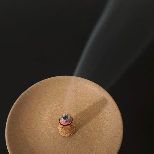 Palo Santo Incense Cones - Homeland Harvest
