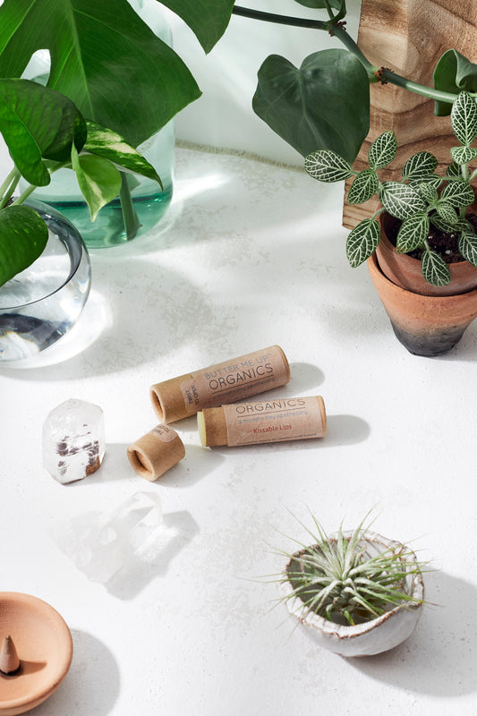 Kissable Lips / Chapstick Lip Balm / PAPERBOARD Tube - Homeland Harvest