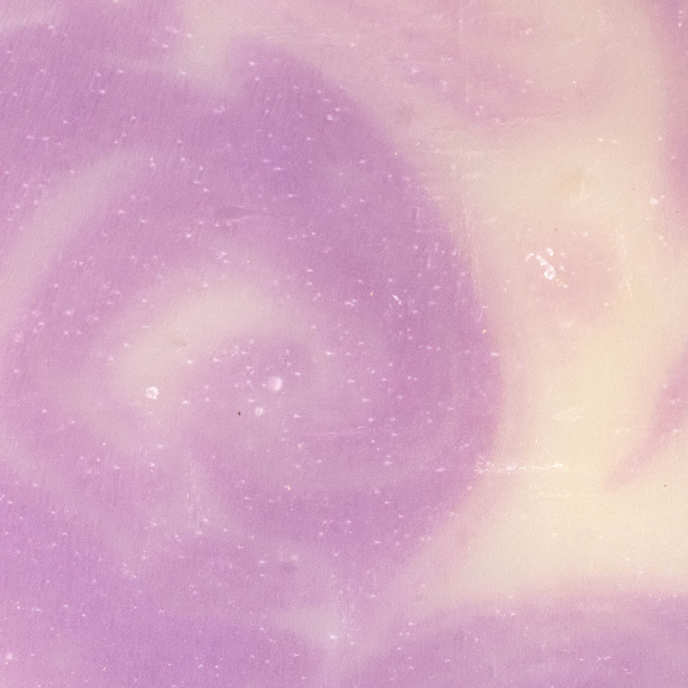 Bar Soap | Lavender - Homeland Harvest