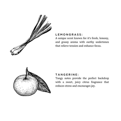 Lemongrass + Tangerine - Signature Candle - Homeland Harvest