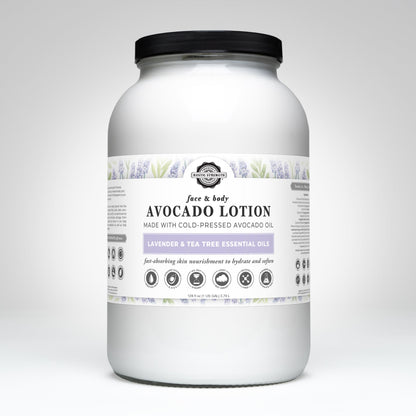 Avocado Lotion | Lavender & Tea Tree - Homeland Harvest
