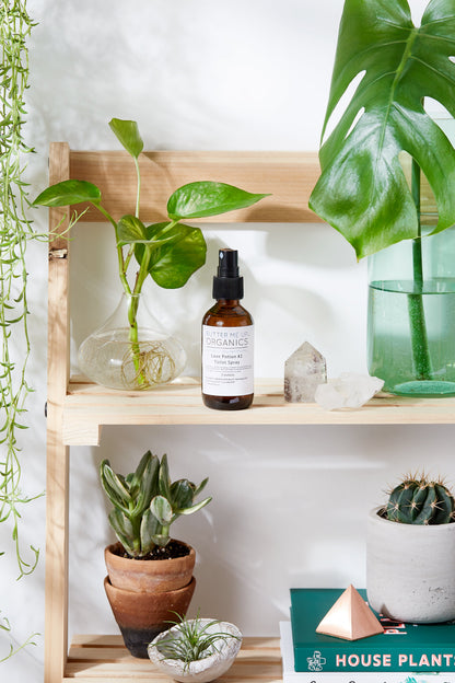 Love Potion #2 Organic Toilet Spray / Modesty Spray / Odor Spray / Bathroom Spray / Essential Oil Spray / Stink Spray - Homeland Harvest