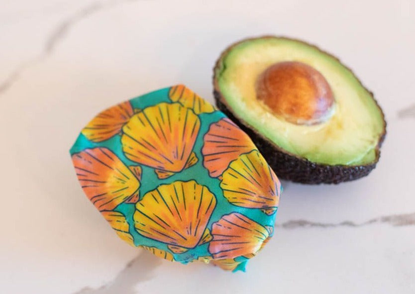 Beeswax Food Wrap - Sunrise Shell Print - Homeland Harvest
