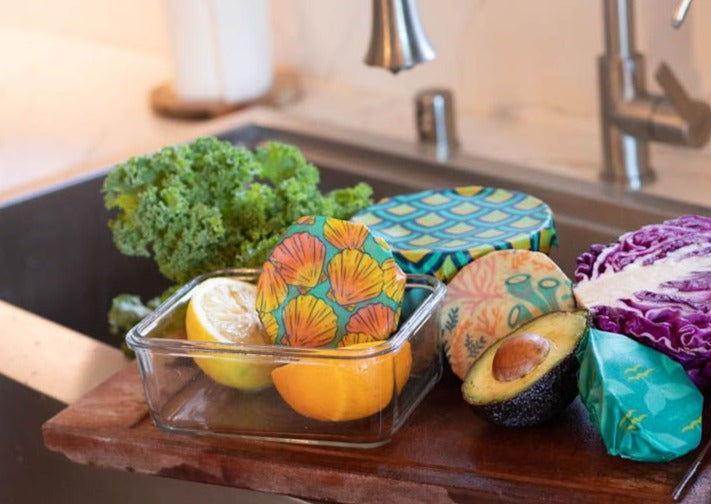 Beeswax Food Wrap - Sunrise Shell Print - Homeland Harvest