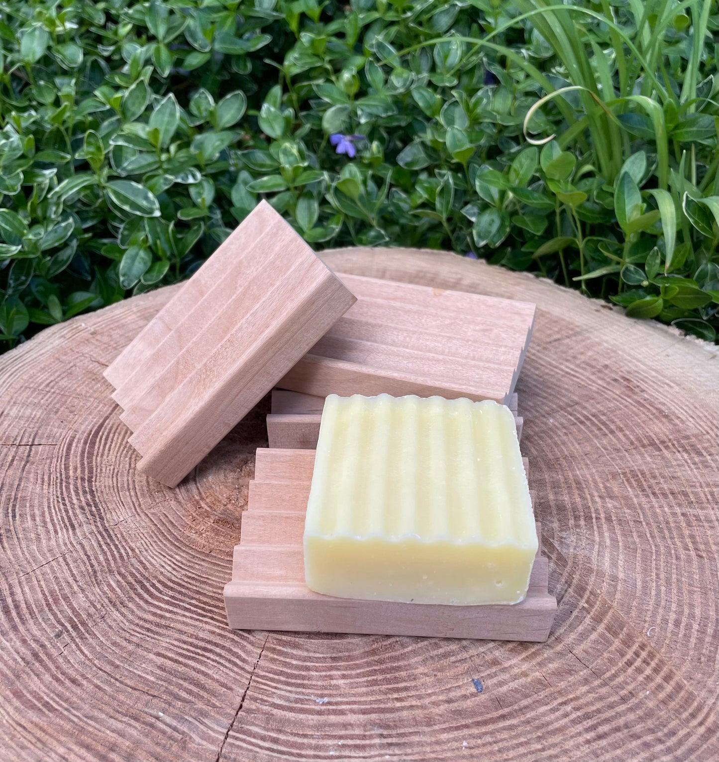 Natural Red Alder Wood Soap Dish - Homeland Harvest