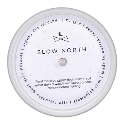 Forest Bathing - Signature Candle (Fir + Pine + Patchouli) - Homeland Harvest