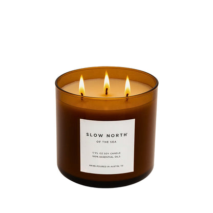 Of The Sea (Eucalyptus + Lavender + Peppermint) - Signature 3-Wick Candle - Homeland Harvest