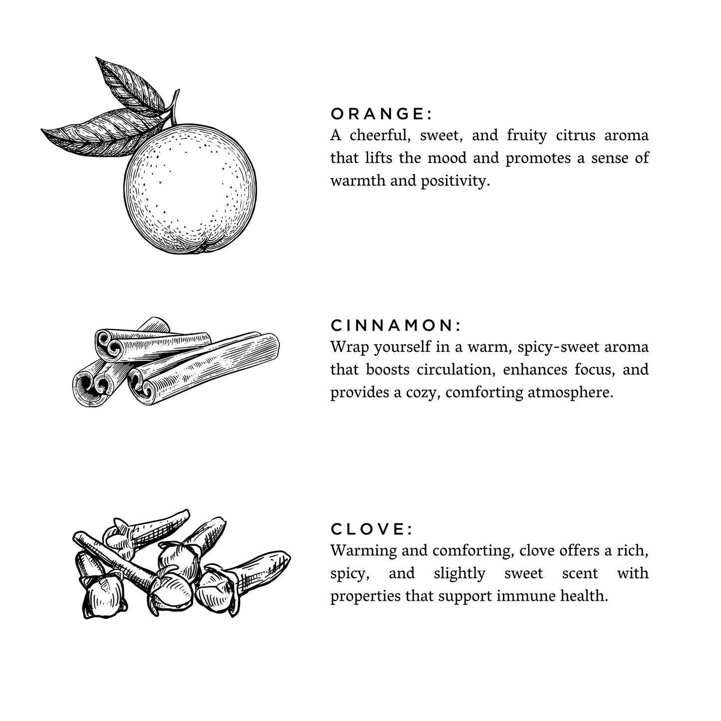 Orange + Clove - Signature Candle - Homeland Harvest