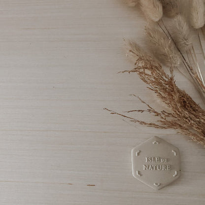Pagua Bay Scent Coin by Isle de Nature
