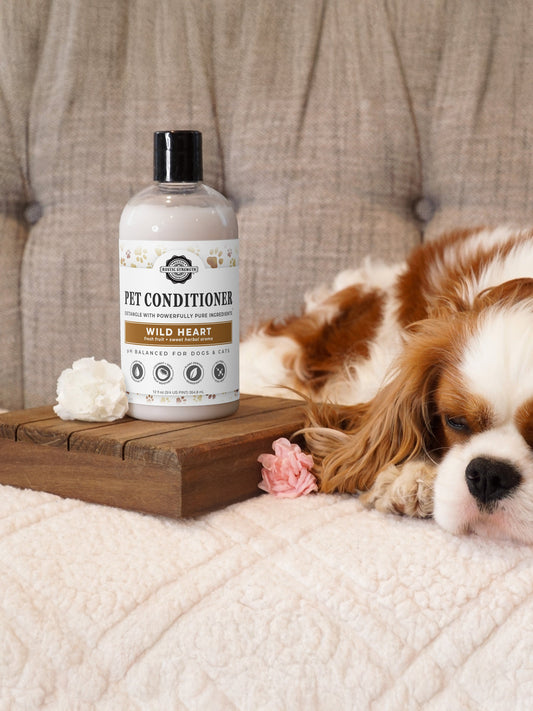 Pet Conditioner | Detangling & Softening | Unscented - Homeland Harvest