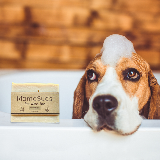 Pet Wash Bar Unscented - Homeland Harvest