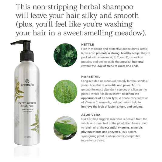 Sweet Sunrise Shampoo (240ml)- Collective - Homeland Harvest