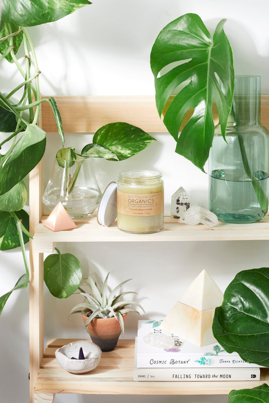 Sensitive Skin Cream with Black Seed Oil and Argan - Homeland Harvest