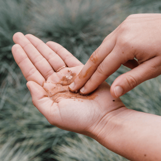 Purifying Mud Mask (50ml)- Collective - Homeland Harvest