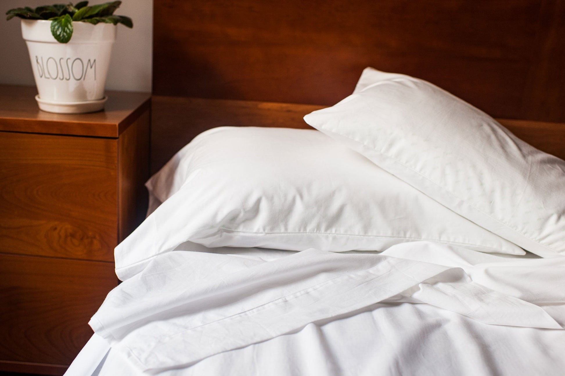 Cotton Single [Separate] Flat Bed Sheet - Homeland Harvest