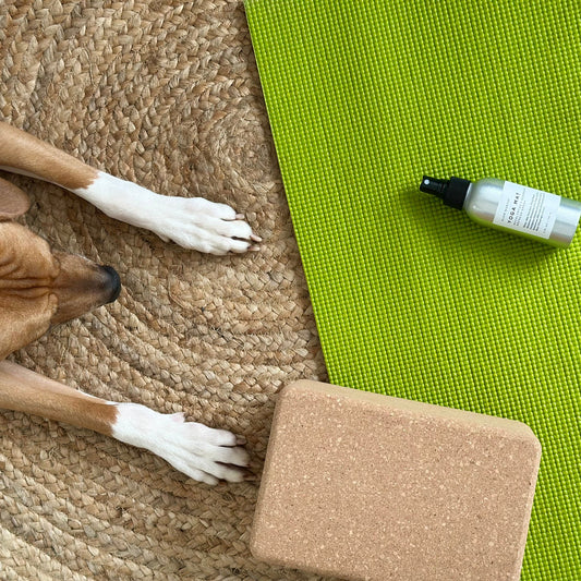 Yoga Mat Spray - Eucalyptus + Rosemary - Homeland Harvest