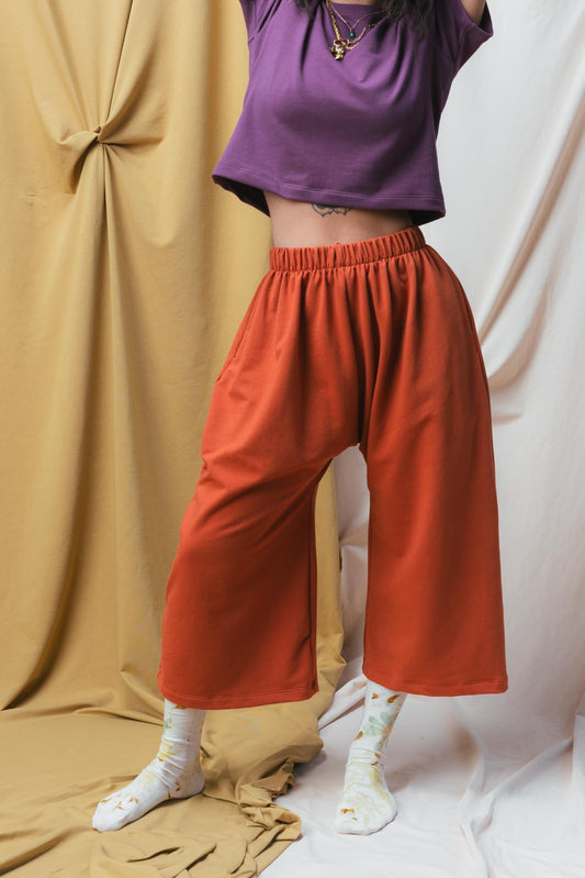 Zinat Pant (Updated) in Persimmon