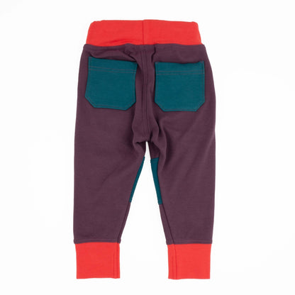 Adult Colorblock Joggers - Homeland Harvest