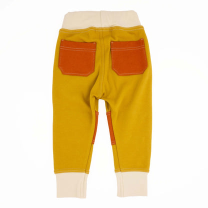Adult Colorblock Joggers - Homeland Harvest