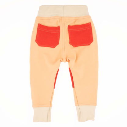 Adult Colorblock Joggers - Homeland Harvest