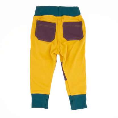 Adult Colorblock Joggers - Homeland Harvest