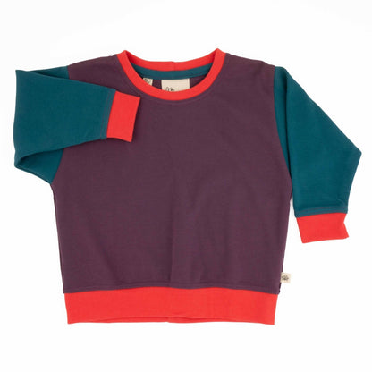 Adult Colorblock Sweatshirt - Homeland Harvest