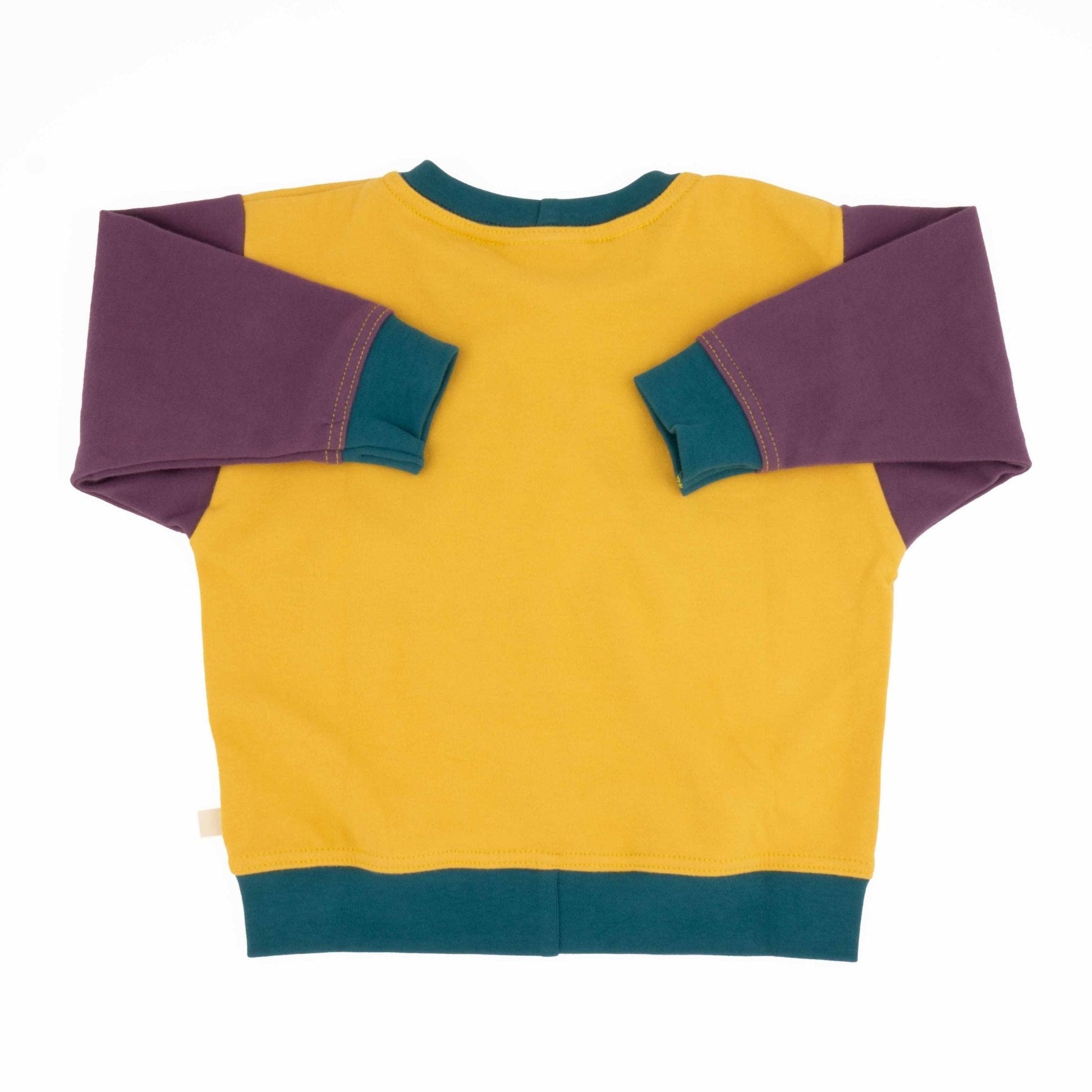 Adult Colorblock Sweatshirt - Homeland Harvest