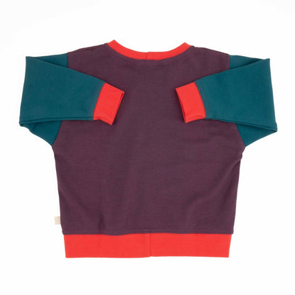 Adult Colorblock Sweatshirt - Homeland Harvest