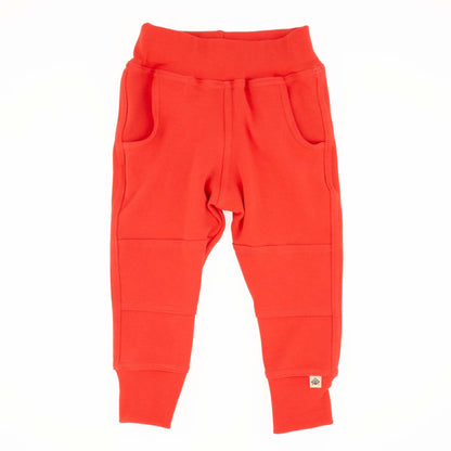 Adult Simple Joggers - Homeland Harvest