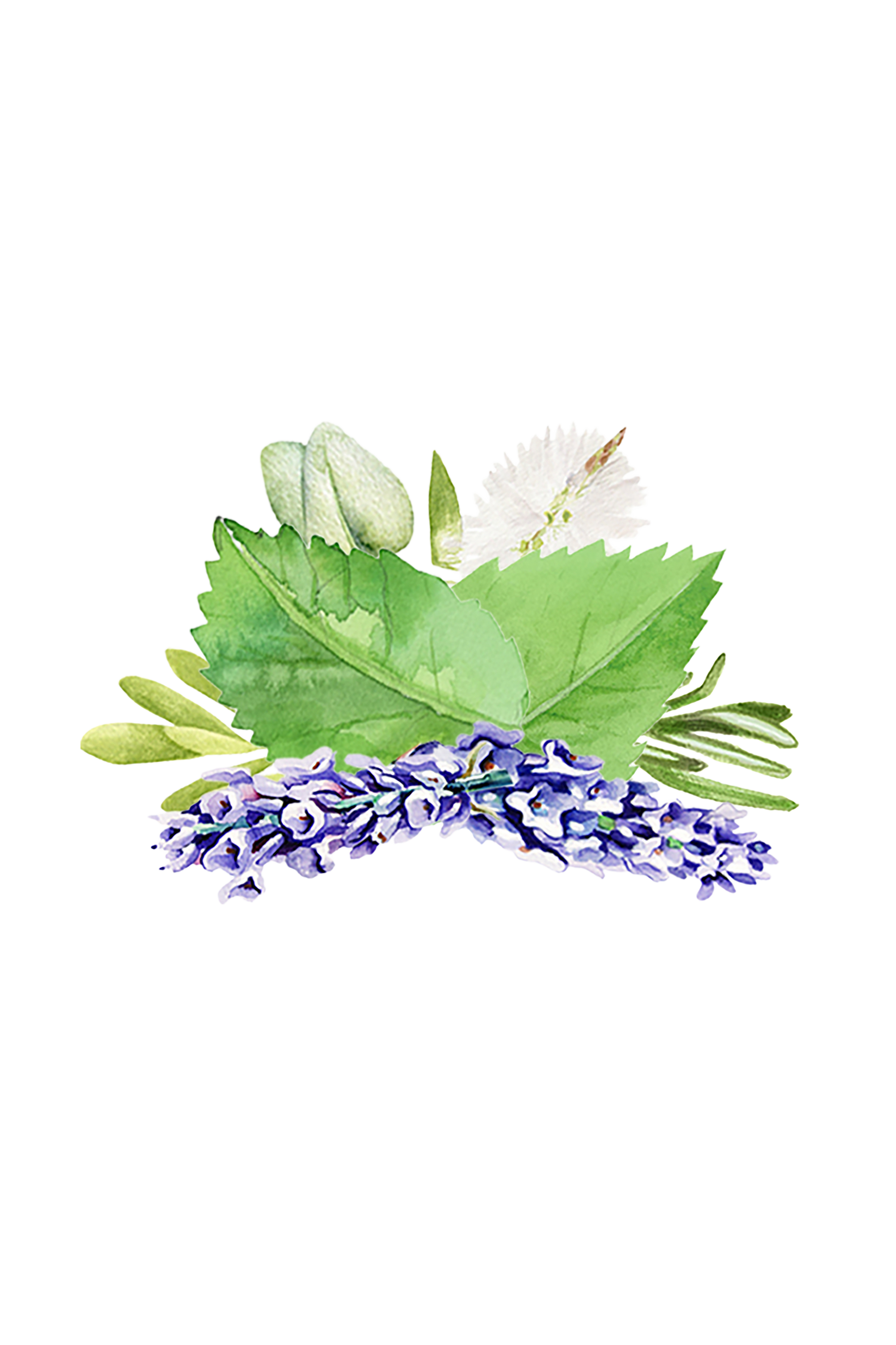 Room Spray | Aromatherapy Blend - Homeland Harvest