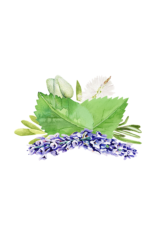 Room Spray | Aromatherapy Blend - Homeland Harvest