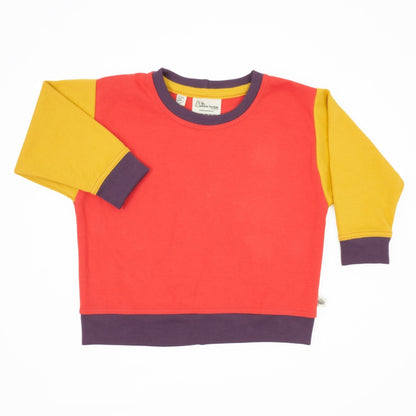 Baby Colorblock Sweatshirt - Homeland Harvest