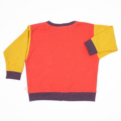 Baby Colorblock Sweatshirt - Homeland Harvest