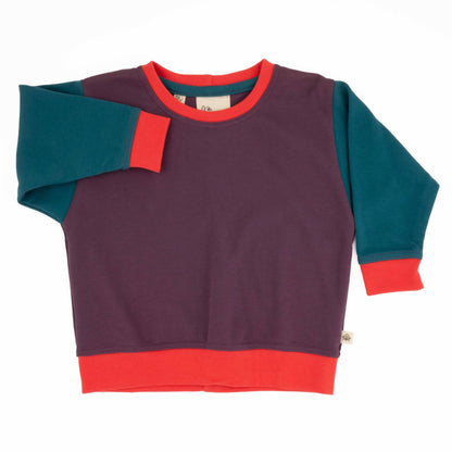 Baby Colorblock Sweatshirt - Homeland Harvest