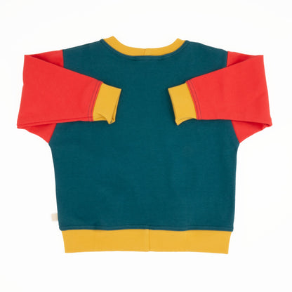 Baby Colorblock Sweatshirt - Homeland Harvest