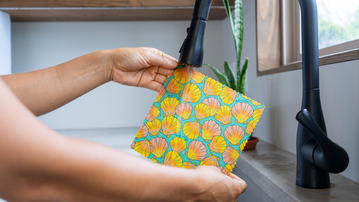 Beeswax Food Wrap - Sunrise Shell Print - Homeland Harvest