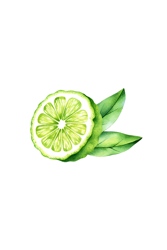 Bergamot Essential Oil - Homeland Harvest