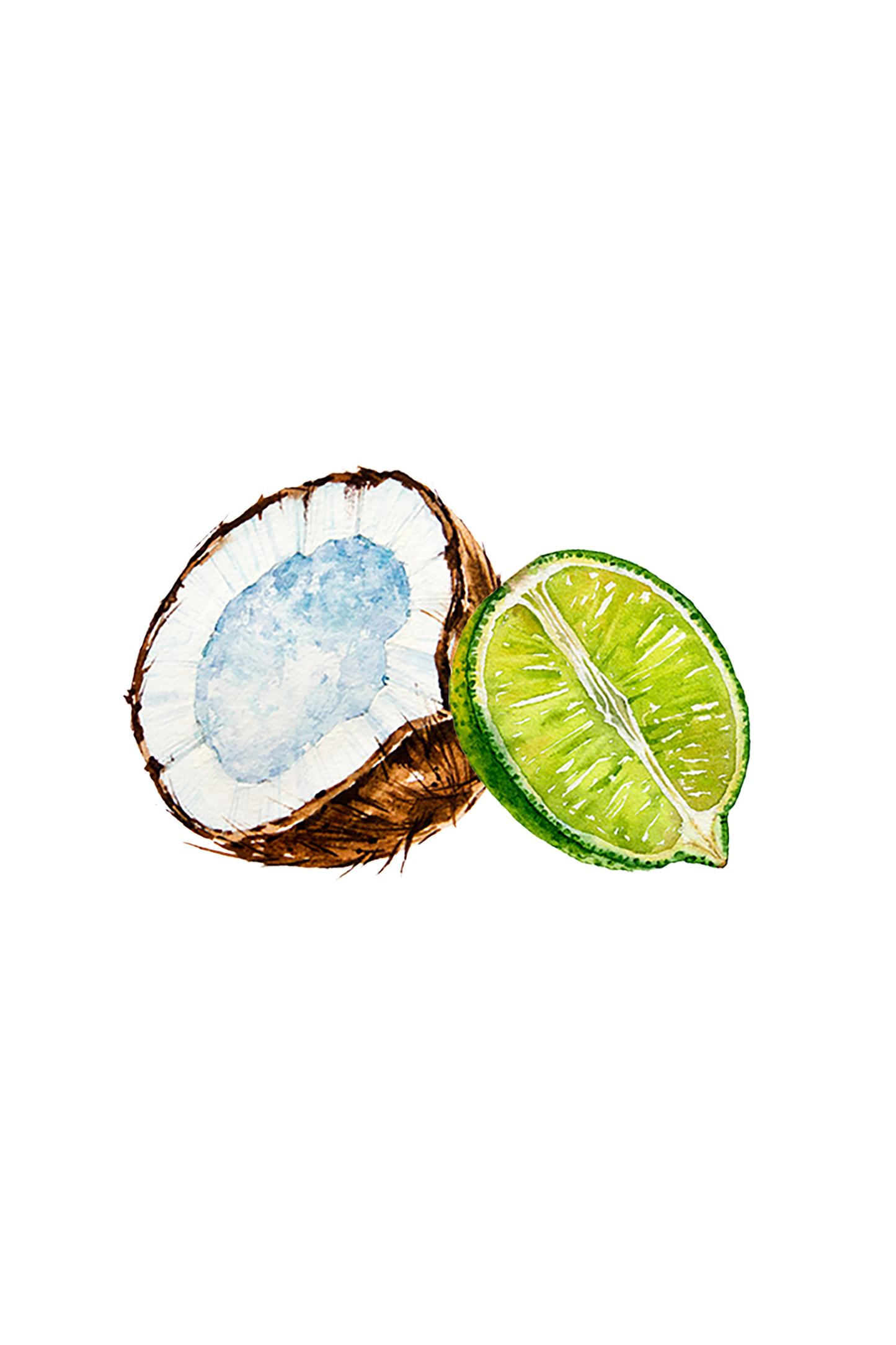 Coconut & Lime EO / FO Blend - Homeland Harvest