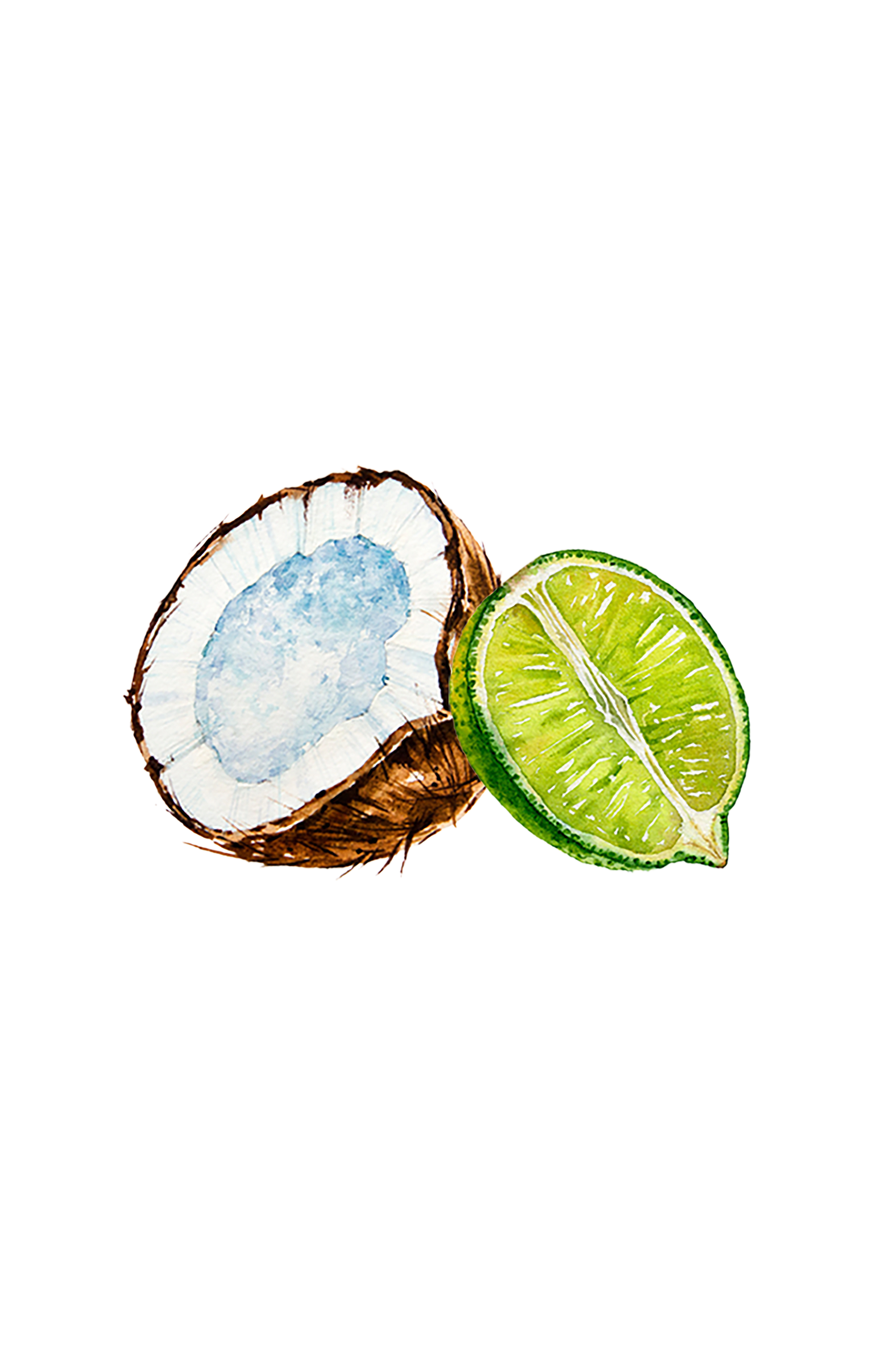 Coconut & Lime EO / FO Blend - Homeland Harvest