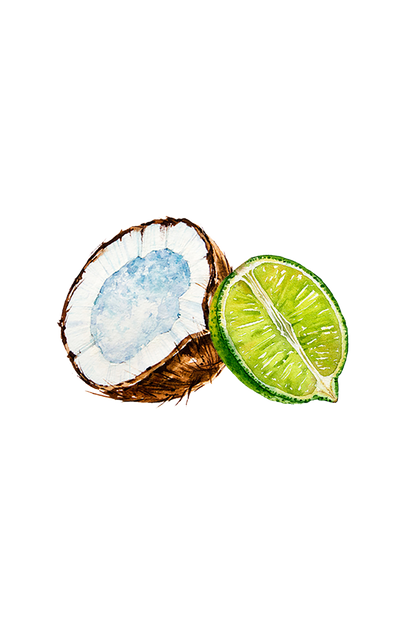 Coconut & Lime EO / FO Blend - Homeland Harvest
