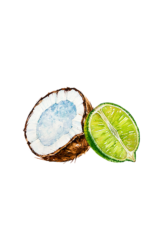 Coconut & Lime EO / FO Blend - Homeland Harvest