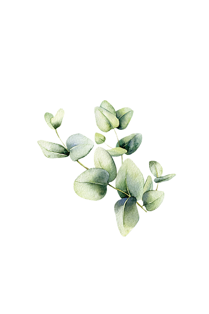Eucalyptus Essential Oil - Homeland Harvest
