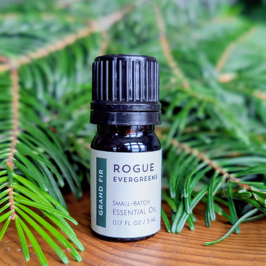 Grand Fir Essential Oil - Homeland Harvest