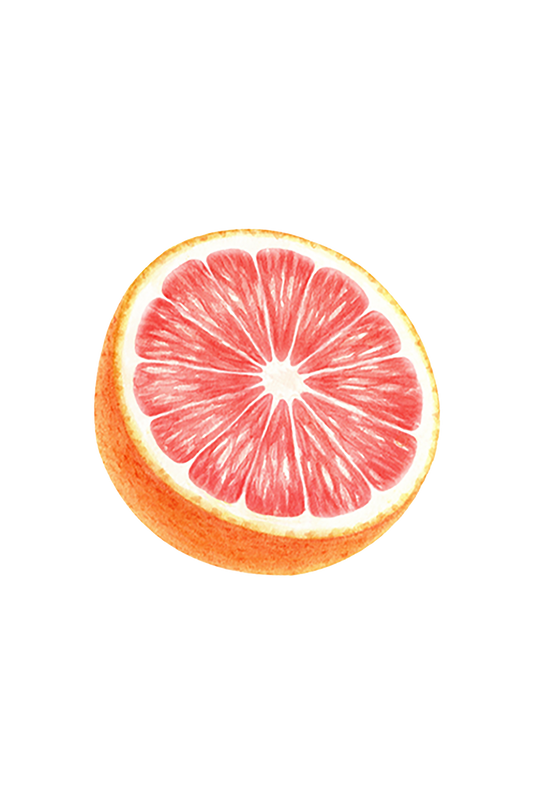 Dish Soap | Pink Grapefruit - Homeland Harvest