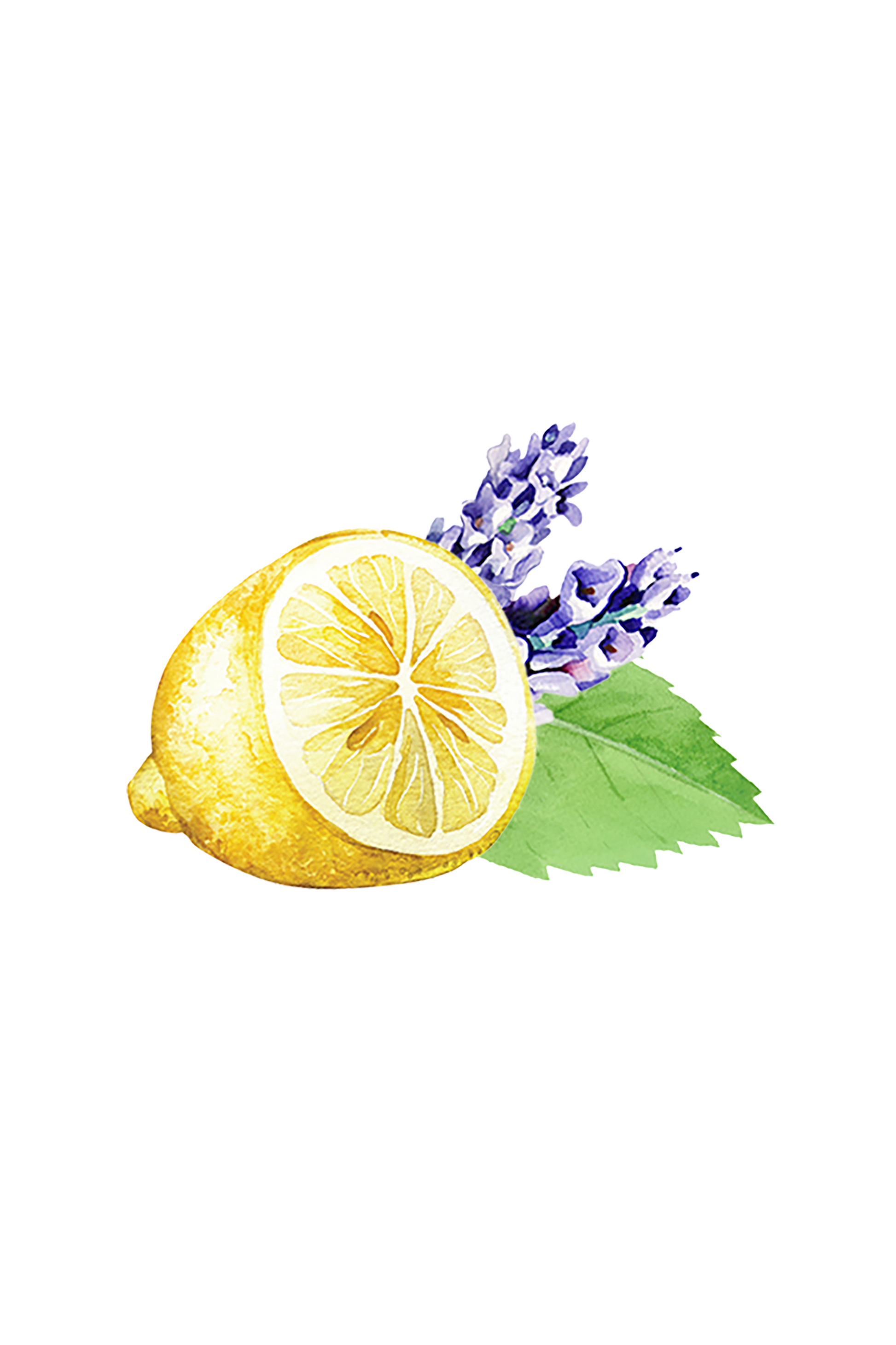 Lavender, Lemon & Mint Essential Oil Blend - Homeland Harvest