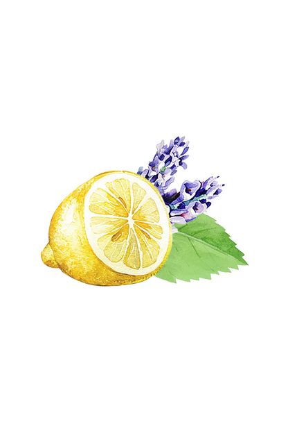 Lots of Purpose Spray Cleaner | Lavender, Lemon & Mint