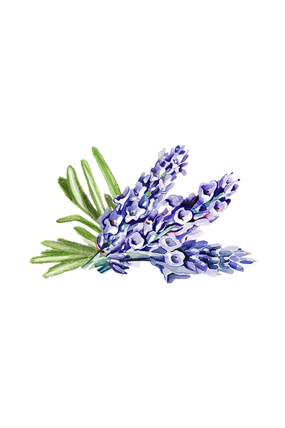 Lavender & Rosemary Essential Oil Blend
