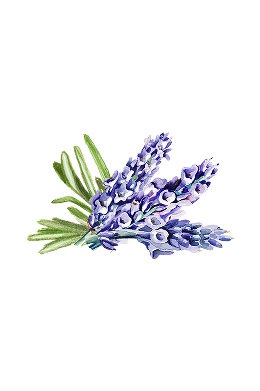 Hand Soap | Soothing Herbs - Homeland Harvest