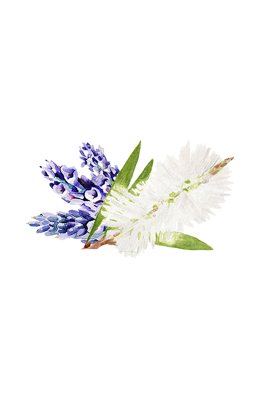 Lavender & Tea Tree Essential Oil Blend - Homeland Harvest