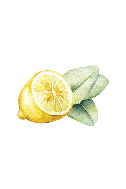 Dish Soap | Lemon & Eucalyptus - Homeland Harvest